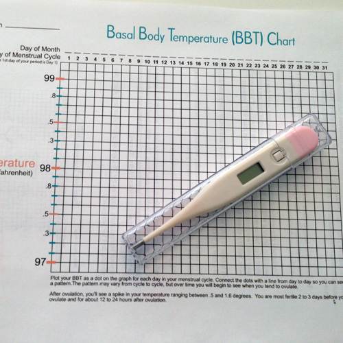 Как измерить базальную температуру для определения беременности и овуляции: правила, позволяющие правильно ее мерить, график измерений
