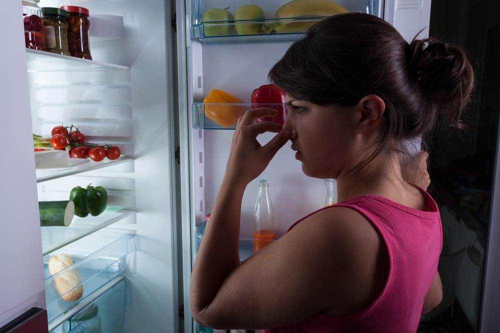 Как избавиться от плесени в холодильнике, как избавиться от запаха, чем обработать холодильник и протереть резинку
