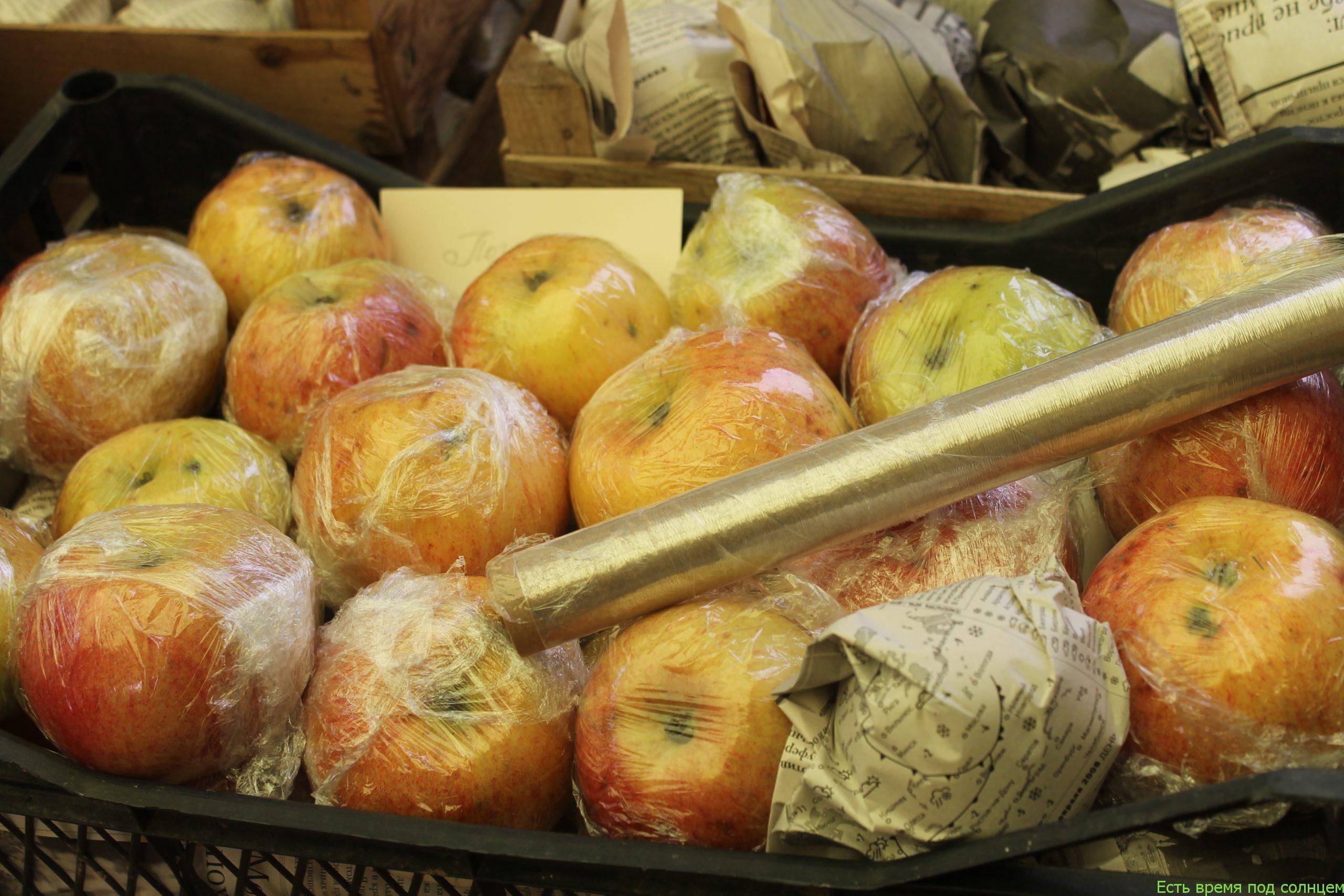 Когда собирать яблоки зимних сортов на хранение: сроки, в которые необходимо снимать (обрывать) плоды и в какое время начинается сбор урожая на зиму selo.guru — интернет портал о сельском хозяйстве