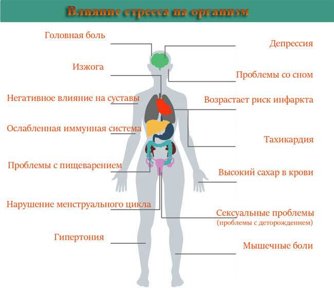 Чем снизить уровень кортизола у женщин препараты схема