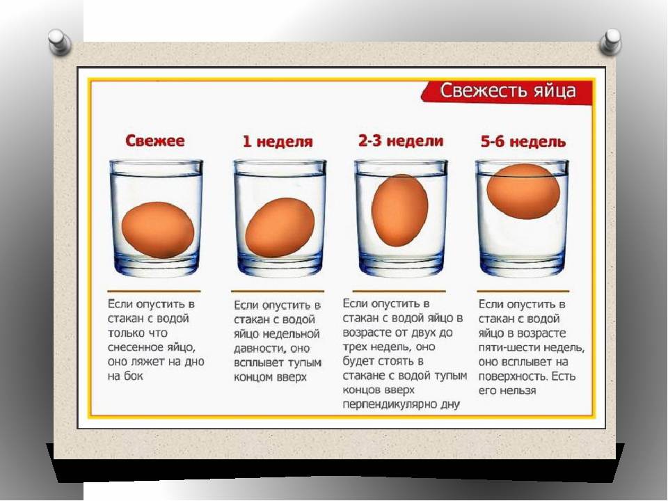 Как проверить яйца на свежесть в домашних условиях: тухлое яйцо или нет?