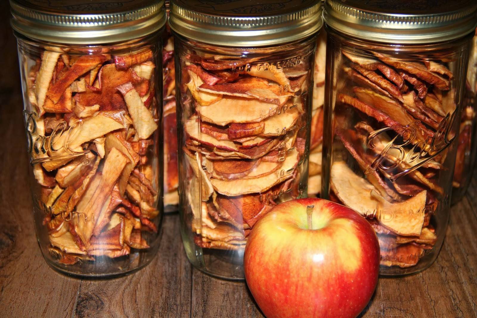 Сушеные яблоки надолго: как правильно сберечь сухофрукты