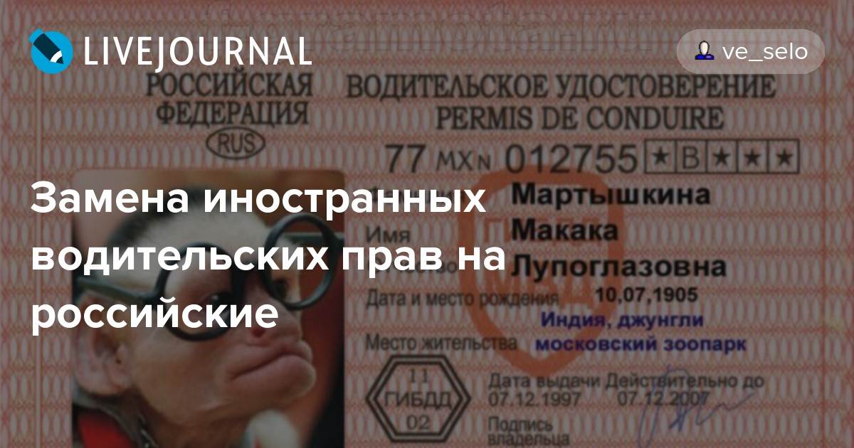 Как поменять водительские права после получения российского гражданства в 2020 году