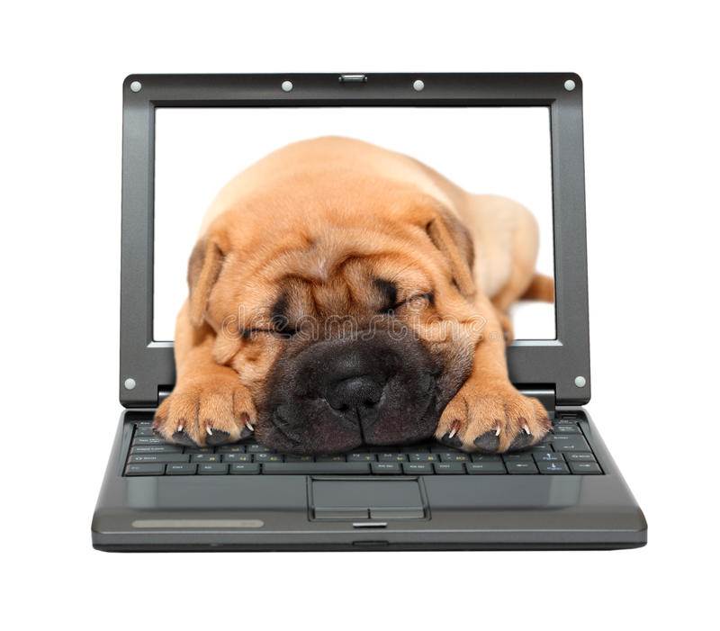 Как набрать символ собака на клавиатуре?