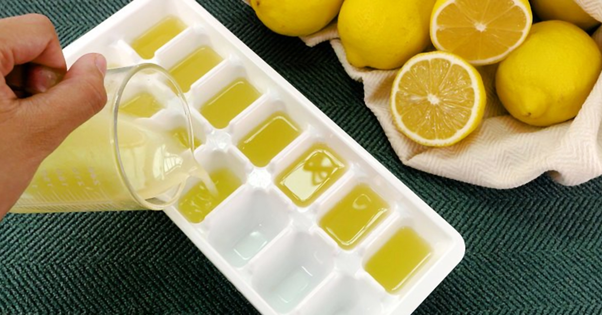 Лучшие способы, как хранить лимоны в домашних условиях