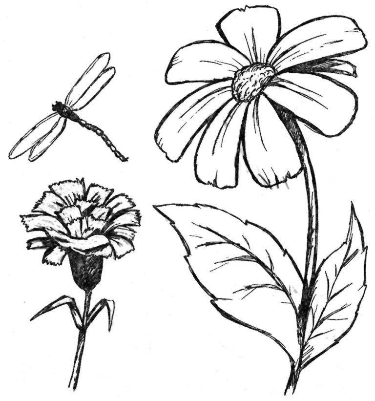 Как нарисовать цветок - необычные и традиционные техники рисования цветка для начинающих