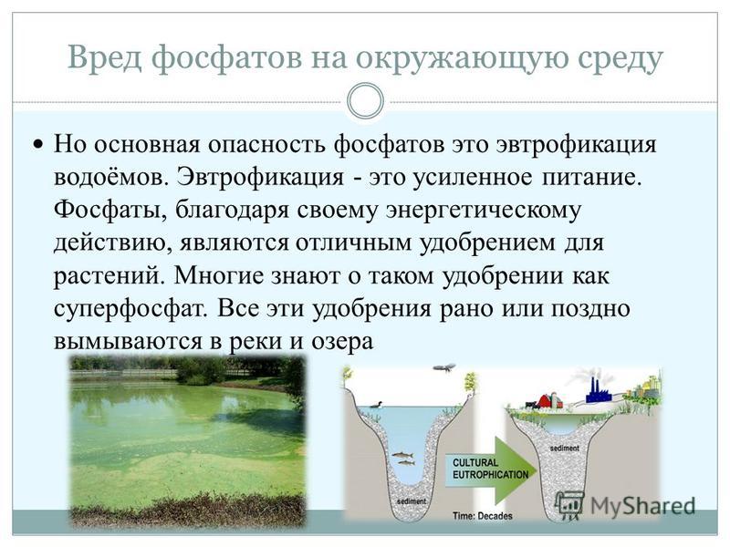 Цеолит природный, что это такое и для чего он нужен. применение минерала для очистки воды в аквариуме, туалета у кошек, грунта у растений и цветов