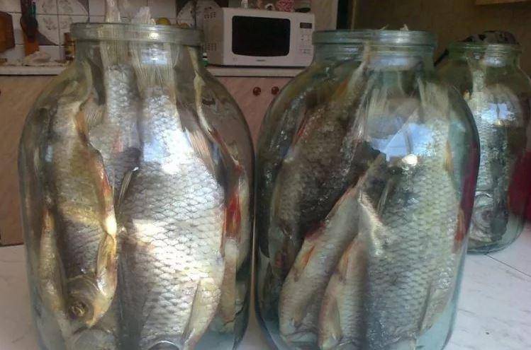 Как быстро завялить рыбу в домашних условиях: разбор вопроса