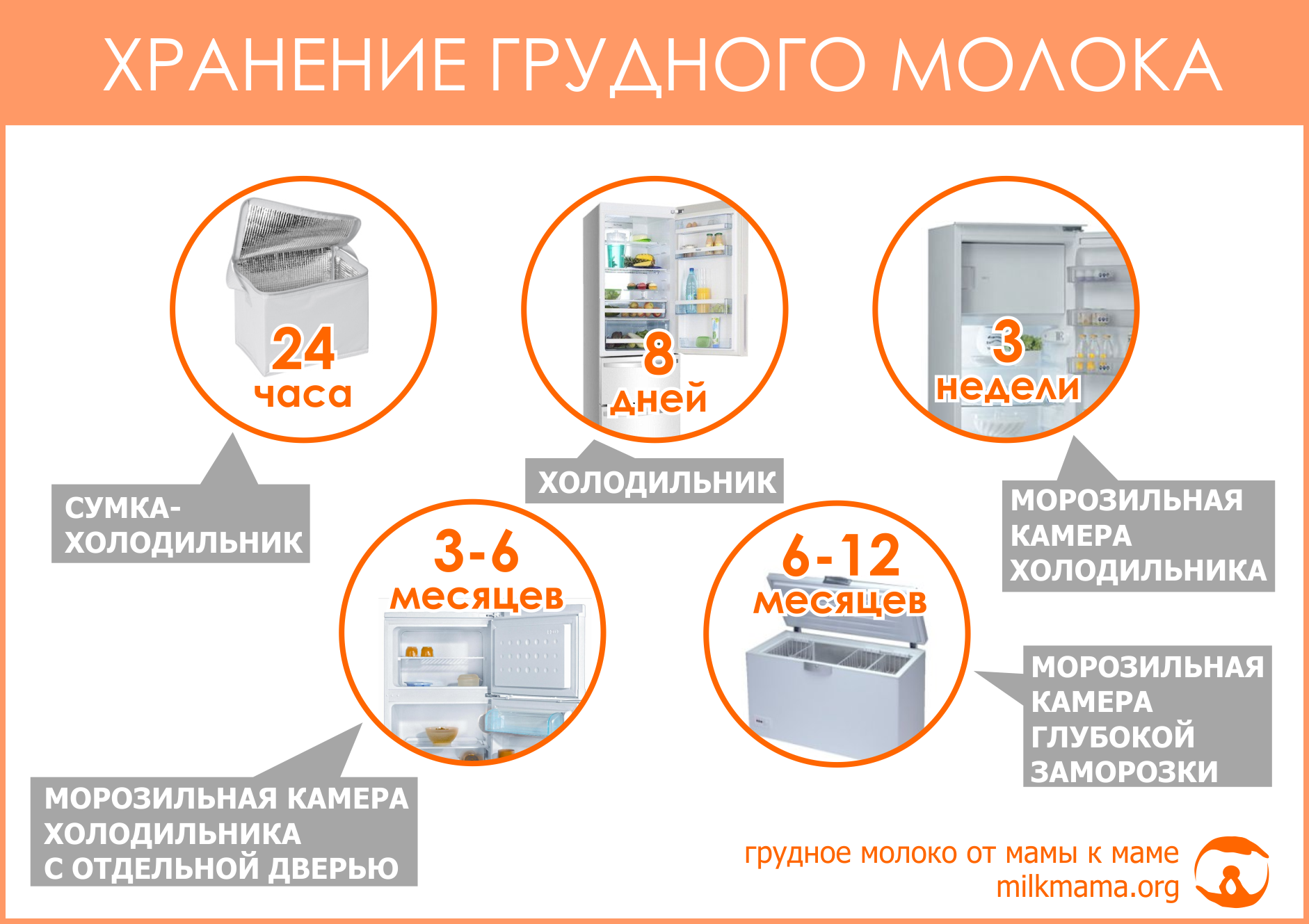 Где будет храниться. Хранение сцеженного грудного молока. Срок хранения грудного молока. Срок годности хранения грудного молока. Срок хранения грудного молока после сцеживания.