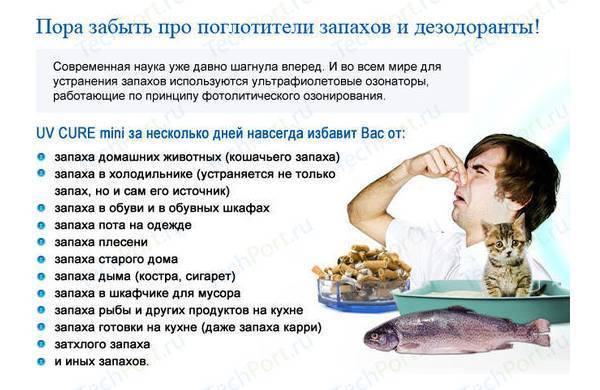 ТОП 14 методов, как можно избавиться от запаха жареной рыбы в квартире