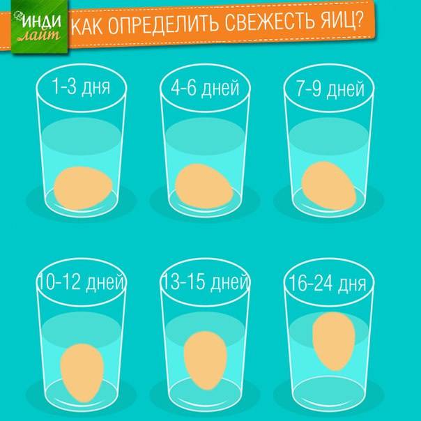 Проверить яйца на свежесть в воде домашних. Свежесть яиц. Как определить свежесть яйца в воде. Свежее яйцо в воде. Свежесть яиц в воде.