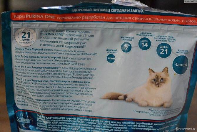 Чем кормить стерилизованную кошку: через сколько после стерилизации, как правильно в домашних условиях, можно ли обычным кормом