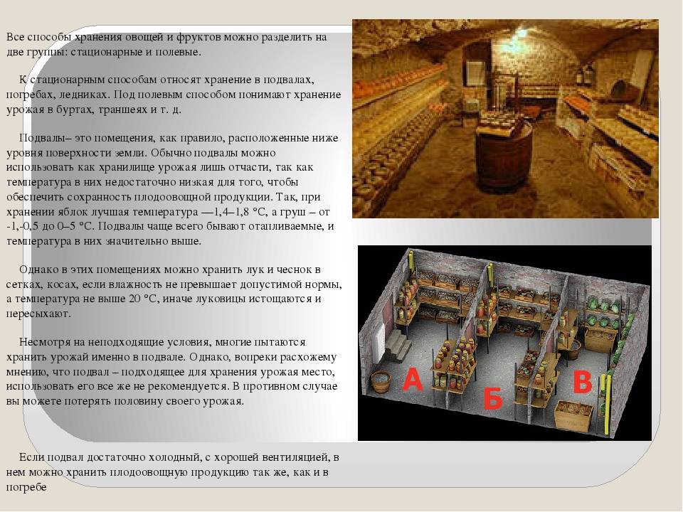 Несколько способов хранения лука порея на зиму