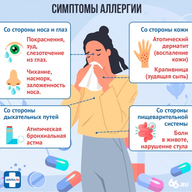 Аллергия: ликбез для аллергика. диагностика, симптомы, лечение