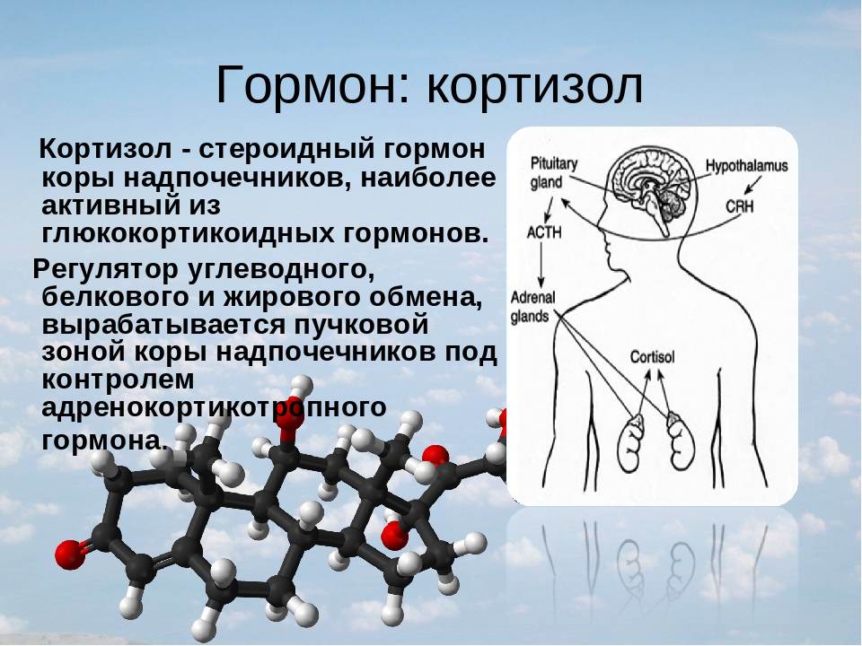 Чем снизить уровень кортизола у женщин препараты схема