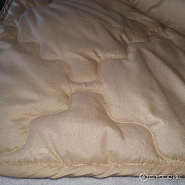 Стирка и уход за одеялом из верблюжьей шерсти » сонный кот