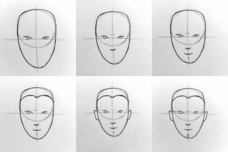 Как нарисовать лицо человека поэтапно
