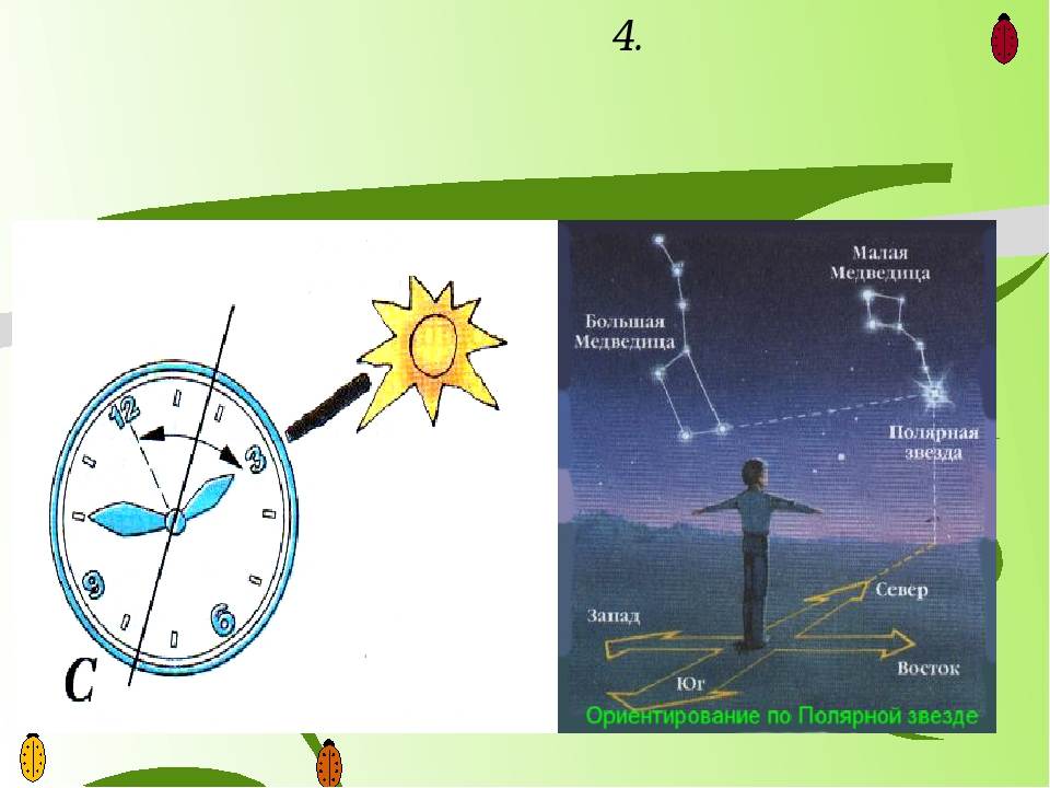 Стороны света в природе. Ориентирование на местности стороны горизонта. Ориентировка по небесным светилам. Определить стороны света по солнцу.