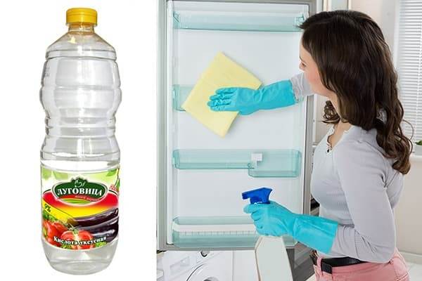 Отмываем холодильник от плесени: 5 способов и 7 готовых средств