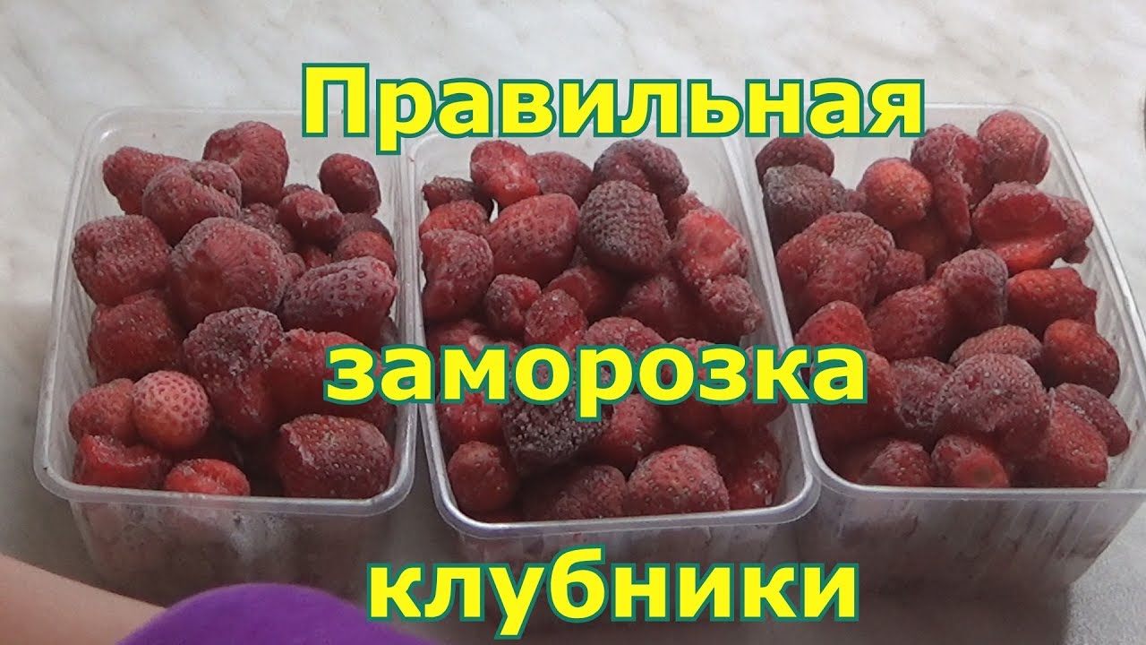 Как заморозить клубнику на зиму в домашних условиях