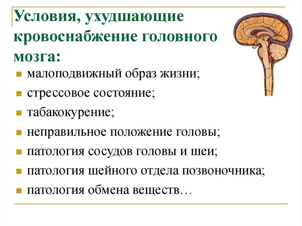 Улучшить кровообращение головного. Улучшение обращения головного мозга. Кровообращение головного мозга. Улучшение кровоснабжения головного мозга. Упражнения для кровоснабжения мозга.