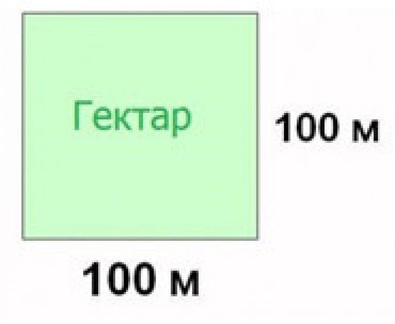 Сотка земли: сколько в метрах, как рассчитать площадь участка + таблица