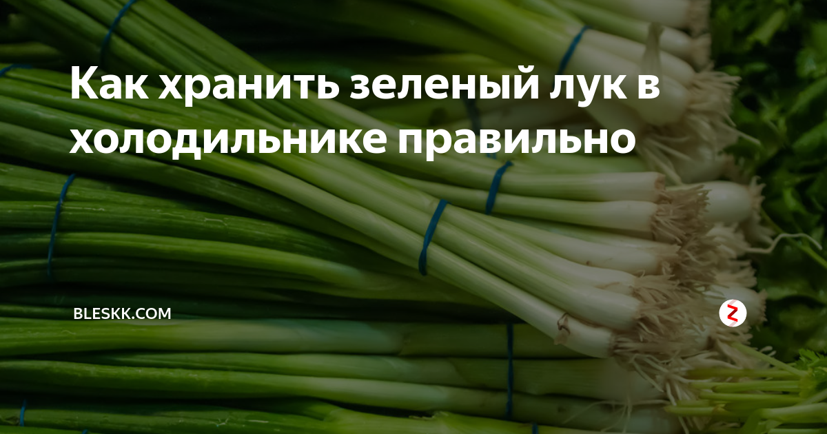 Зеленый сохранить. Как сохранить зелёный лук в холодильнике свежим. Хранение зеленого лука в холодильнике. Зеленый лук хранение. Правильное хранение зеленого лука.