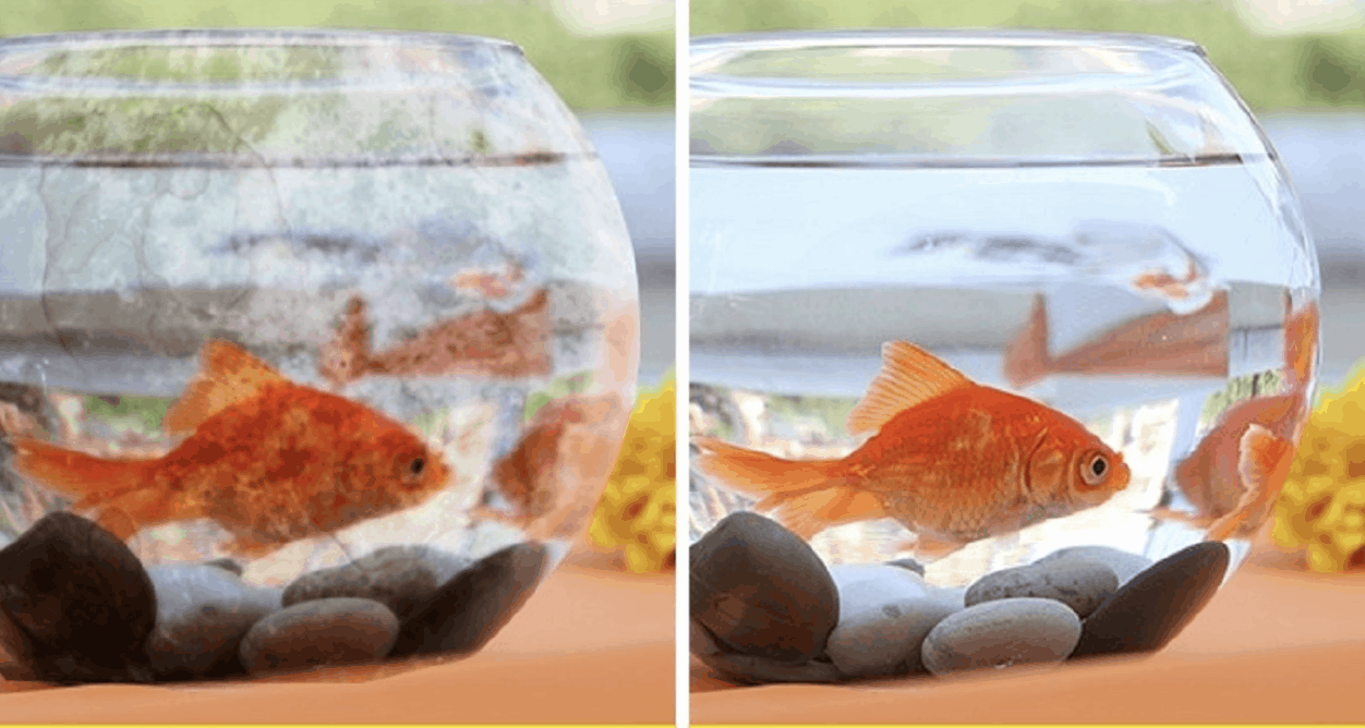 Как чистить аквариум правильно: стекла, дно, грунт и воду