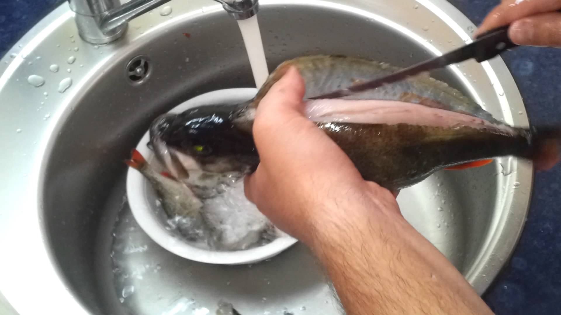 Как отмыть рыбу. Чистка рыбы. Для чистки окуня от чешуи. Лайфхак для очистки рыбы.
