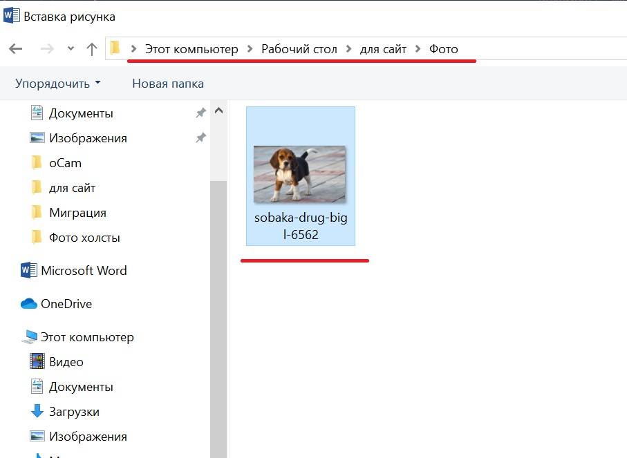 Как в картинку вставить фото в компьютере