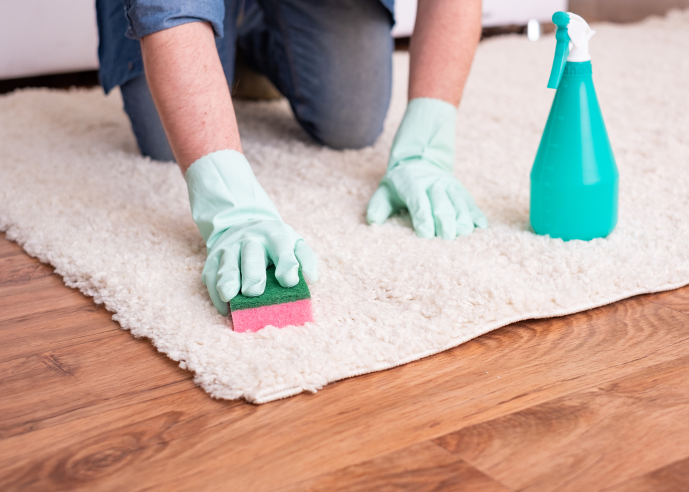 Как в домашних условиях убрать лизуна с ковра, дивана и иных поверхностей: как очистить вещи, можно ли оттереть уксусом, чем еще отмыть?