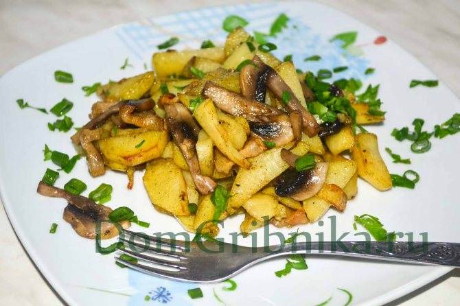 Картошка с шампиньонами: на сковороде, в духовке, с овощами, сыром, курицей, запеканка
