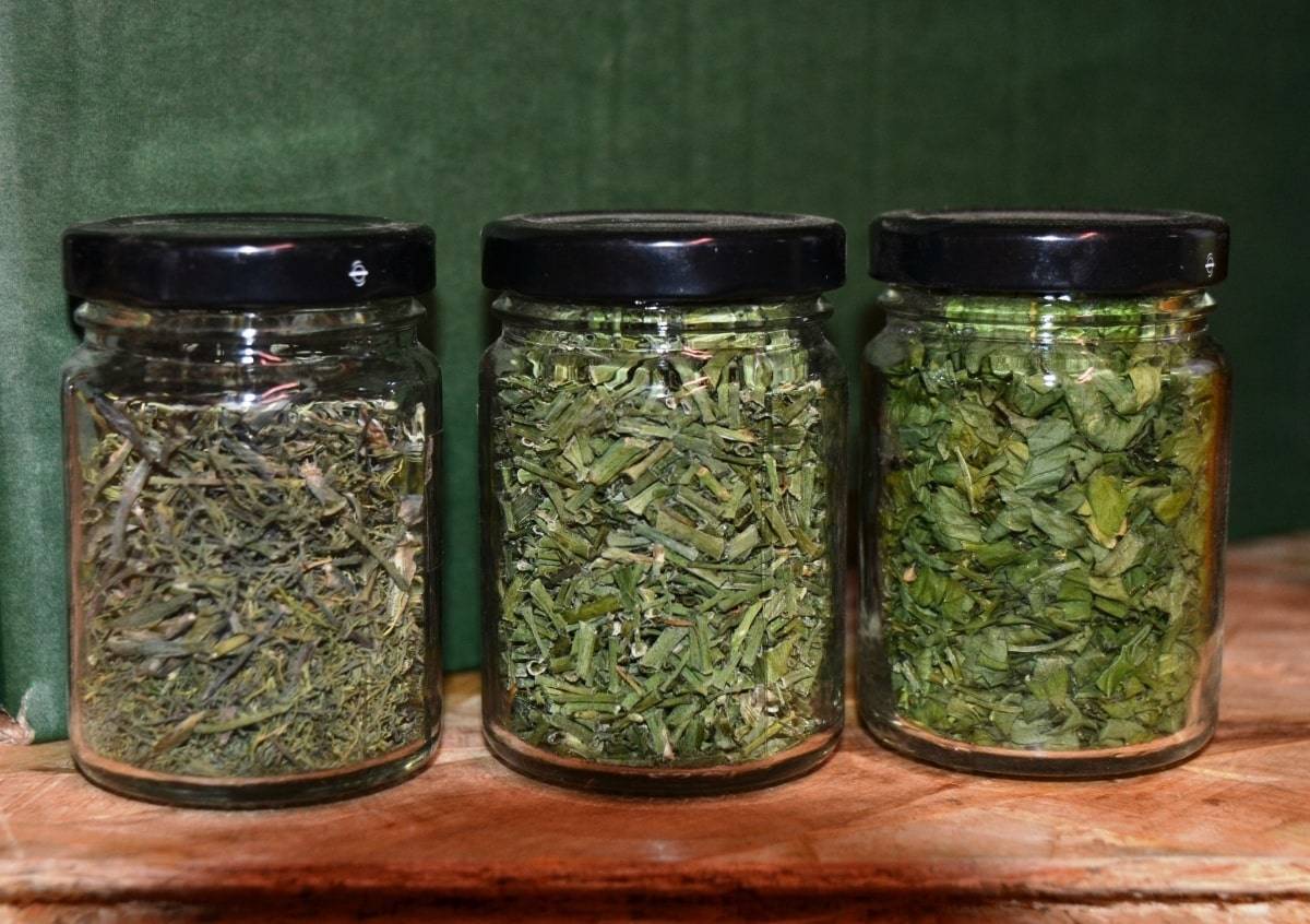 Ферментация листьев смородины для чая в домашних условиях с фото