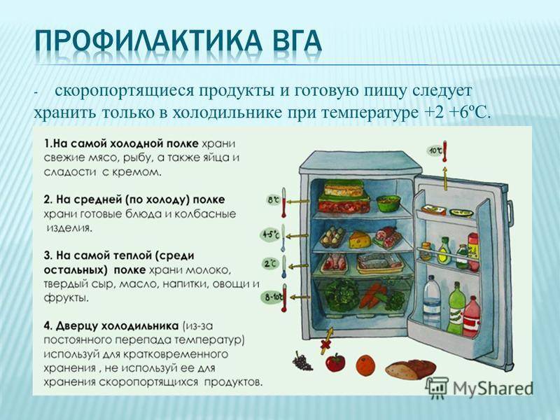 Как правильно хранить болгарский перец в домашних условиях, условия и сроки