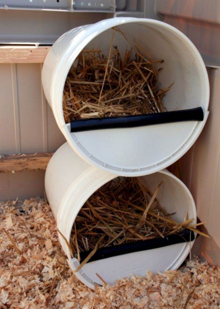 Гнезда для кур - самодельные для несушек, как сделать своими руками с яйцесборником, чтобы не клевали и не скатывались