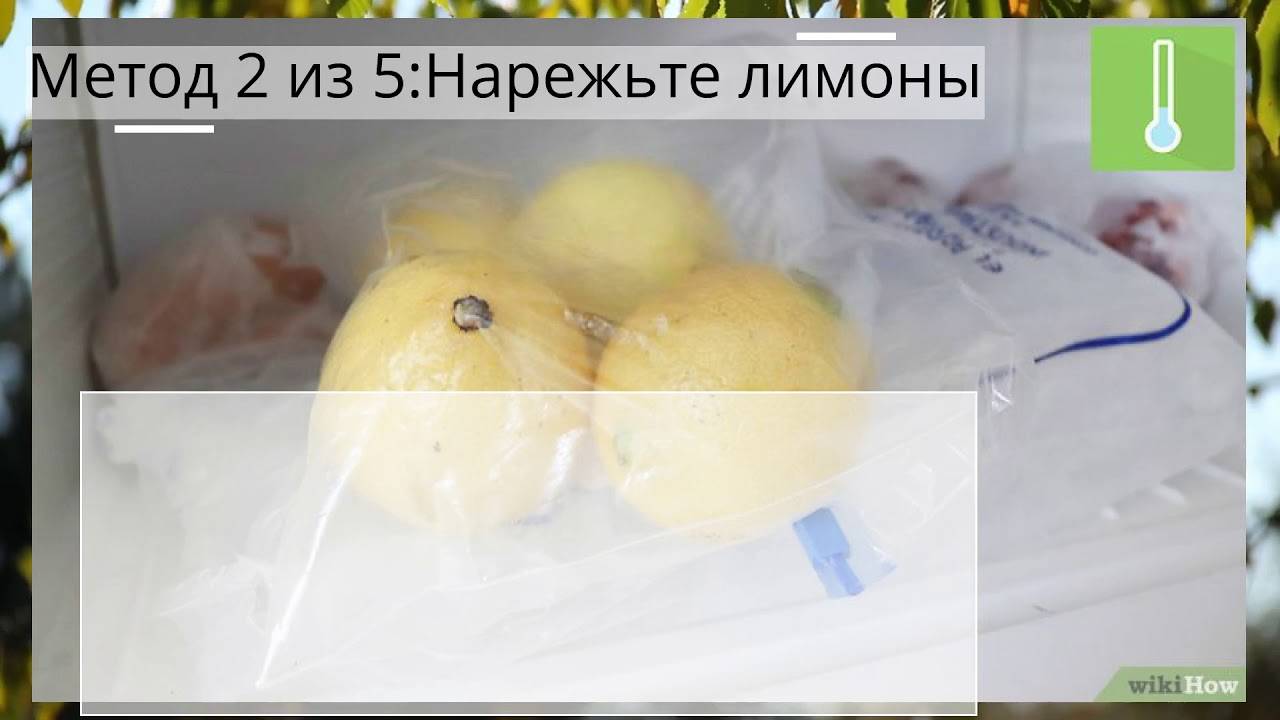 Как правильно хранить лимоны в домашних условиях