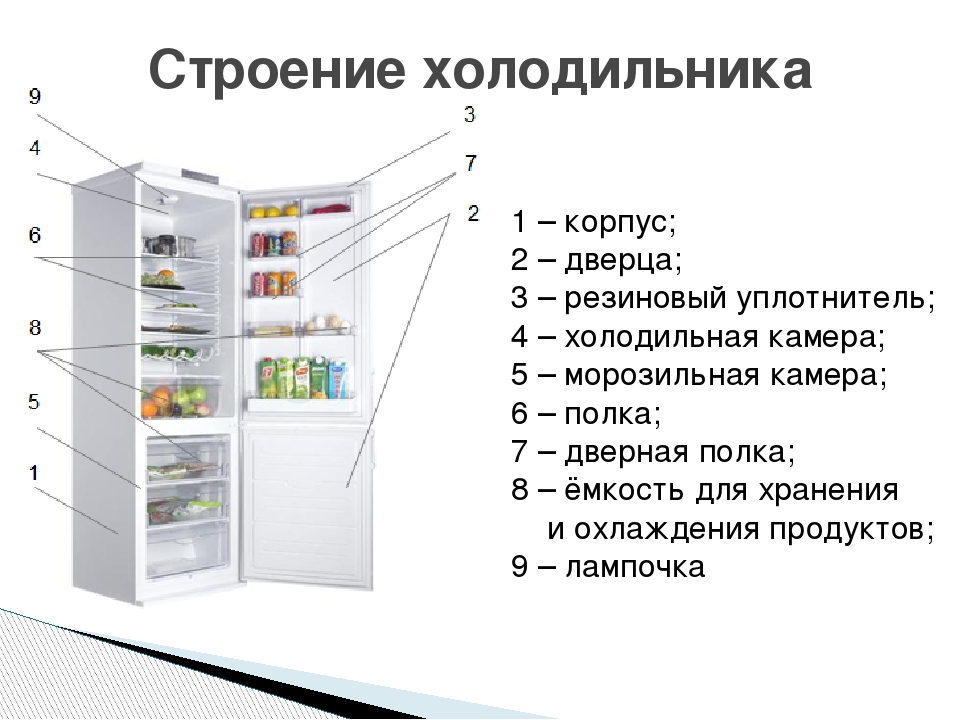 Как выбрать холодильник - критерии и рейтинг моделей