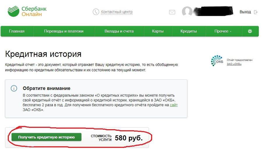 Удалят ли сбербанк. Как выглядит кредитная история в Сбербанке. Как выглядит отчет по кредитной истории Сбербанк. ОКБ кредитная история. Заказать кредитный отчет.