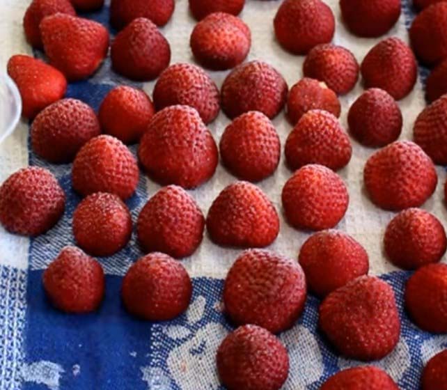 Свежая клубника круглый год — как правильно заморозить впрок любимую ягоду
