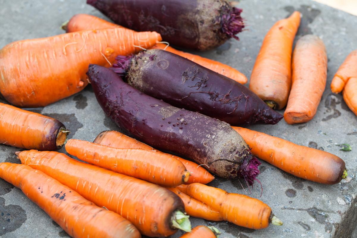 Как хранить морковь в холодильнике правильно