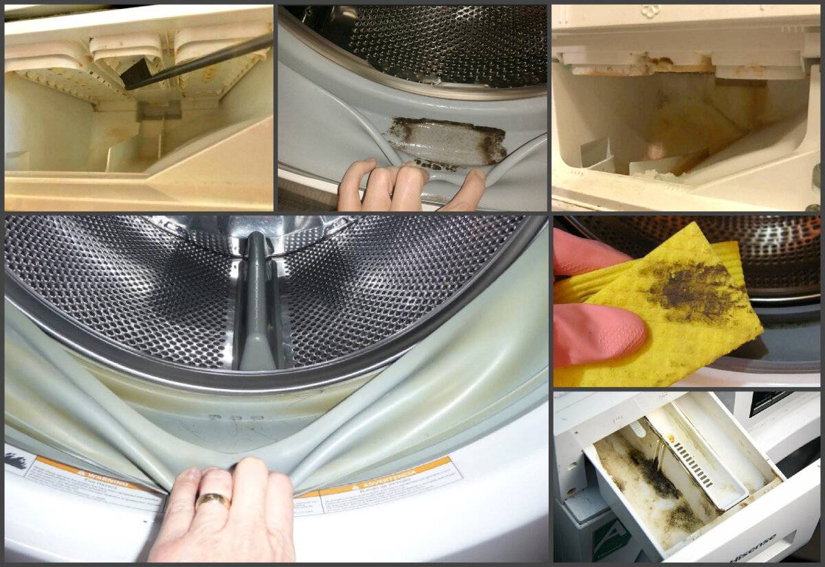 Как очистить лоток для порошка в стиральной машине от налета
