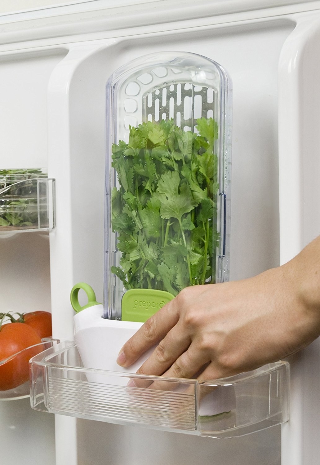 Как правильно хранить свежую зелень в холодильнике чтобы не завяла: как сохранить укроп свежим долгое время, контейнер для хранения