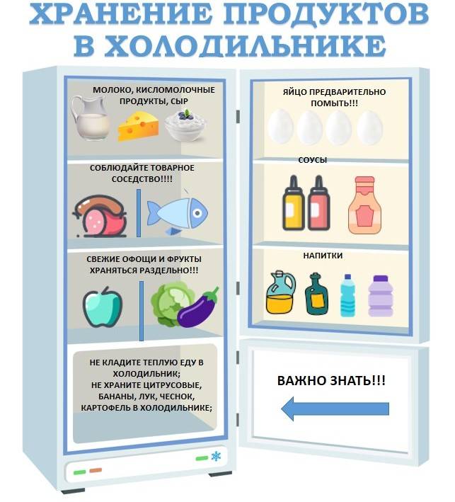 Как расположить продукты в холодильнике схема