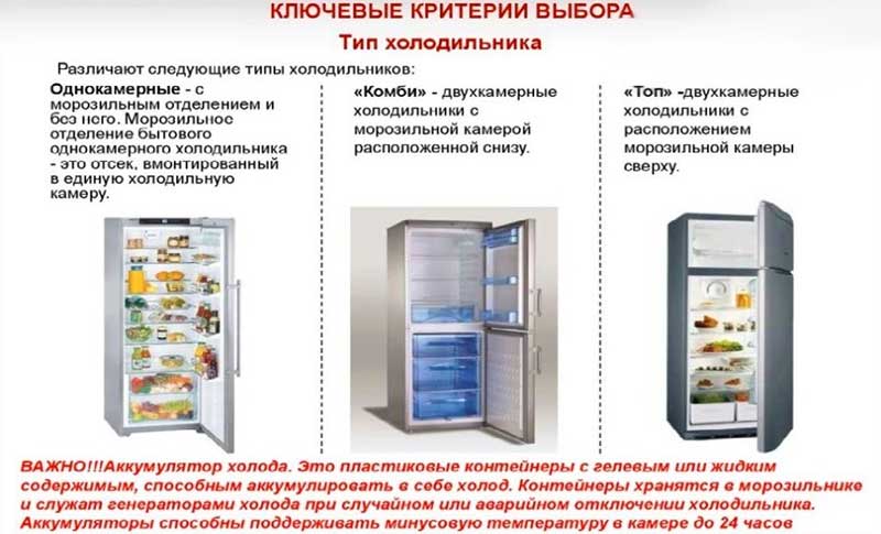 Как выбрать сумку-холодильник: критерии выбора, топ товаров