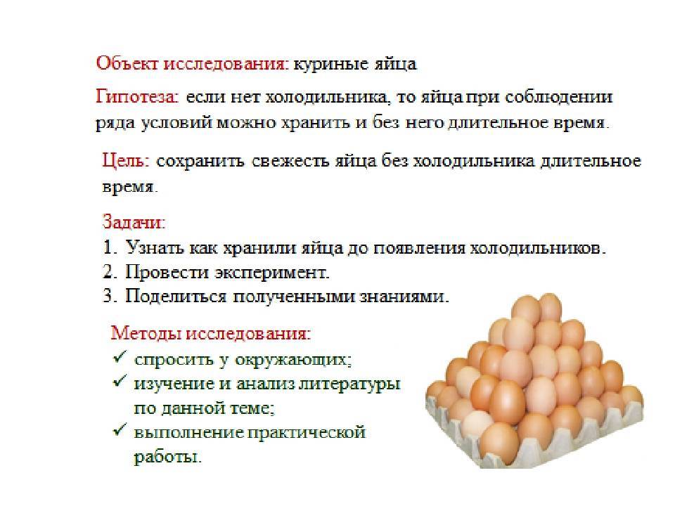 Яйца после срока годности. Срок хранения куриных яиц. Условия хранения яиц. Хранение куриных яиц. Срок хранения яиц в холодильнике.