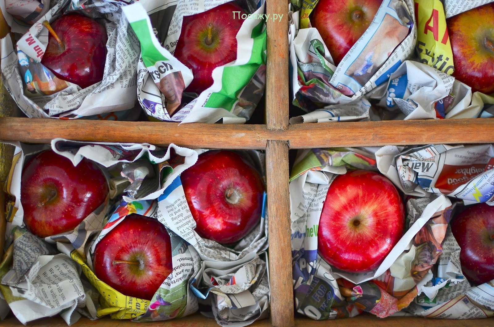 Чем обрабатывают яблоки для длительного хранения, препараты для покрытия