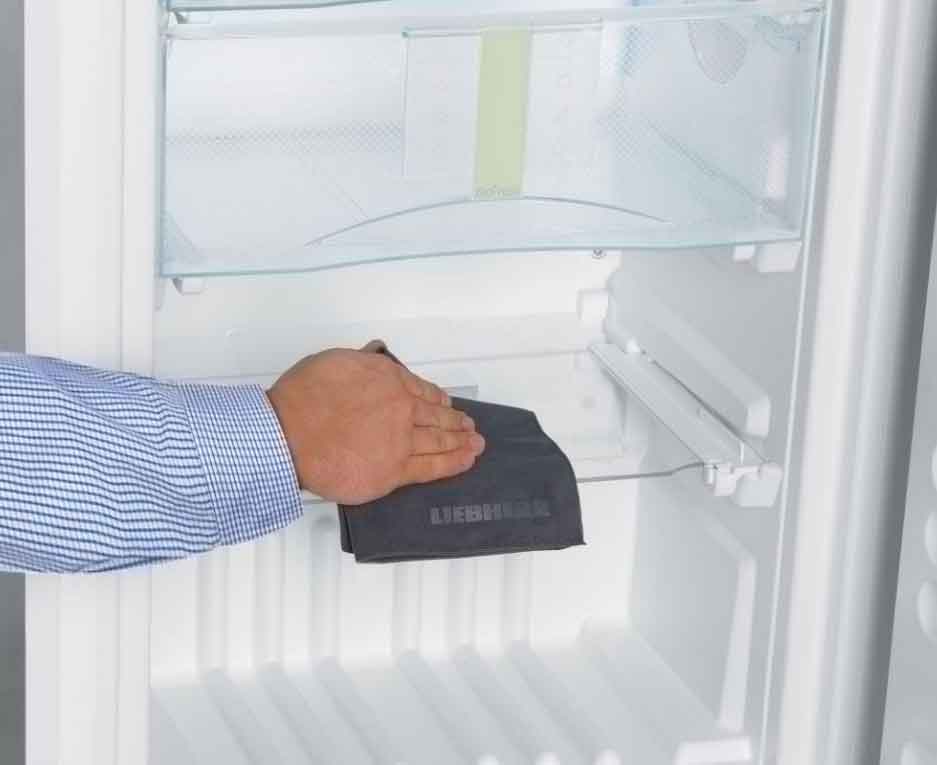 Почему появляется плесень в холодильнике и как от неё избавиться | cleanipedia