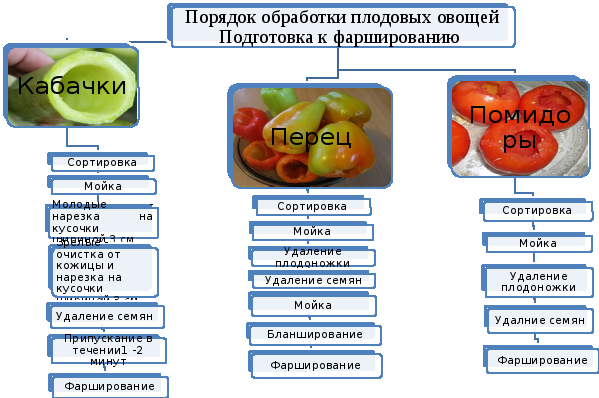 Основные этапы обработки яблок в порядке следования. Технологическая последовательность обработки плодовых овощей. Технологическая схема механической кулинарной обработки овощей. Первичная обработка плодовых овощей схема. Схема обработки тыквенных овощей.