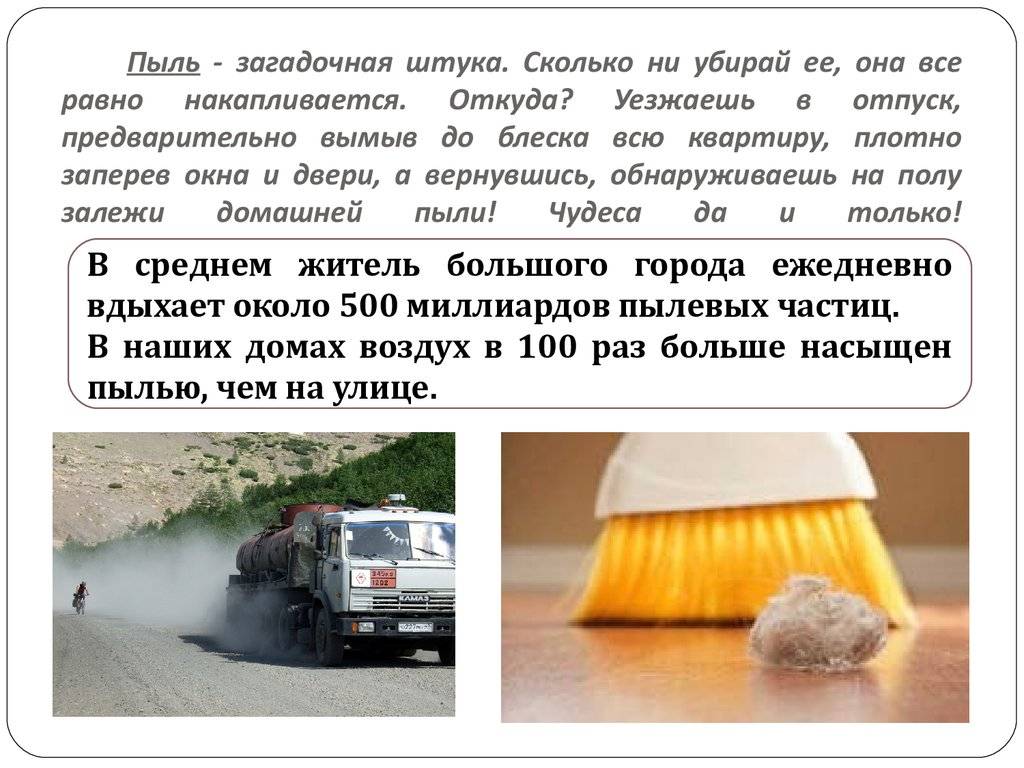 Как избавиться от пыли надолго: правила эффективной уборки