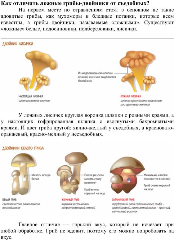 Грибы как отличить съедобные грибы от несъедобных с фото